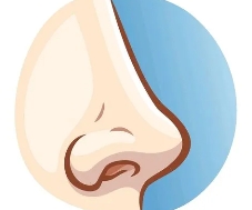 鼻尖整形手术过程是如何的图片